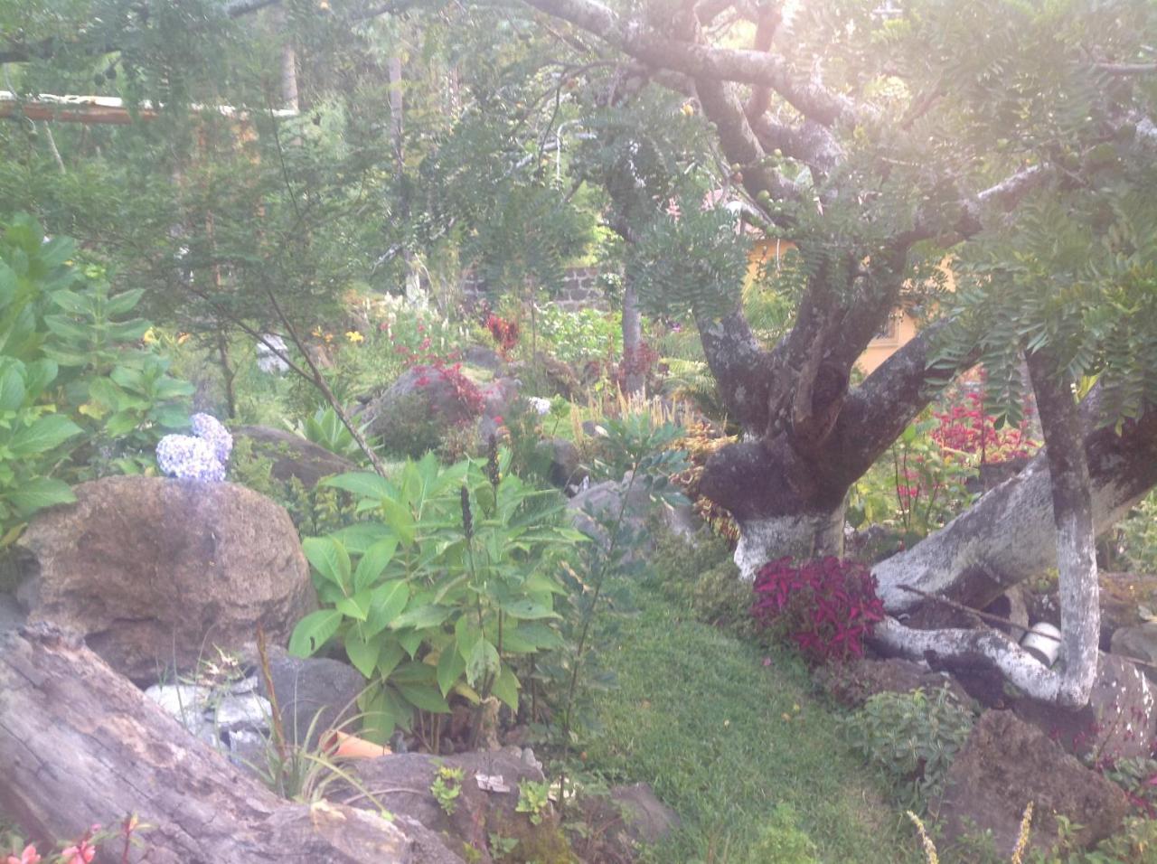 Hotel Y Bungalows Ecologicos Marcelo Santiago Atitlán المظهر الخارجي الصورة