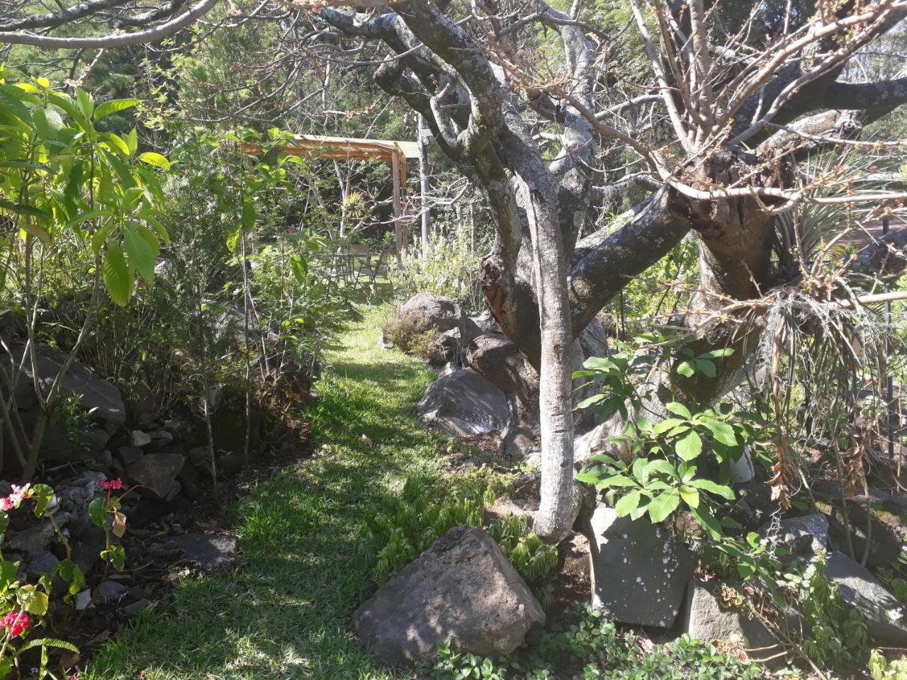 Hotel Y Bungalows Ecologicos Marcelo Santiago Atitlán المظهر الخارجي الصورة